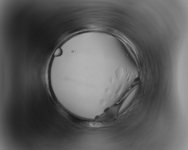 X0000087591291200705181212