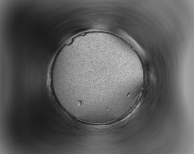 X0000087591292200705181212