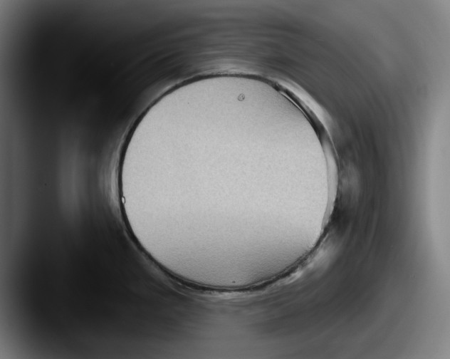 X0000087591293200705181212