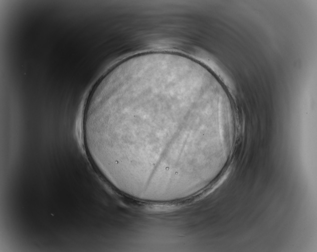 X0000087591294200705181212