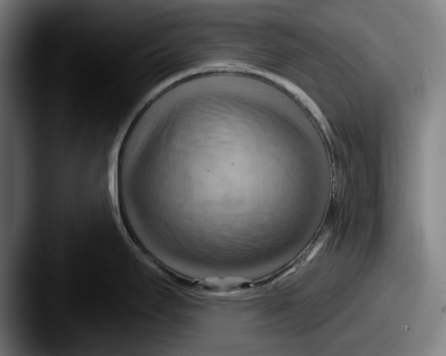 X0000087591295200705181212