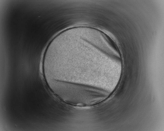 X0000087591296200705181212