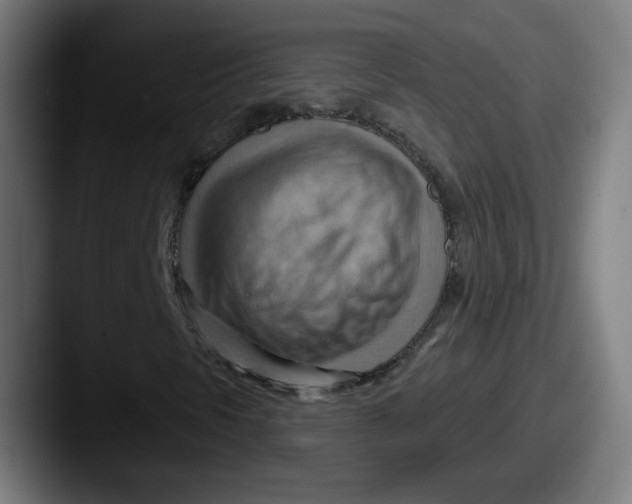 X0000087591297200705181212