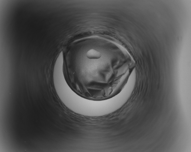 X0000087591298200705181212