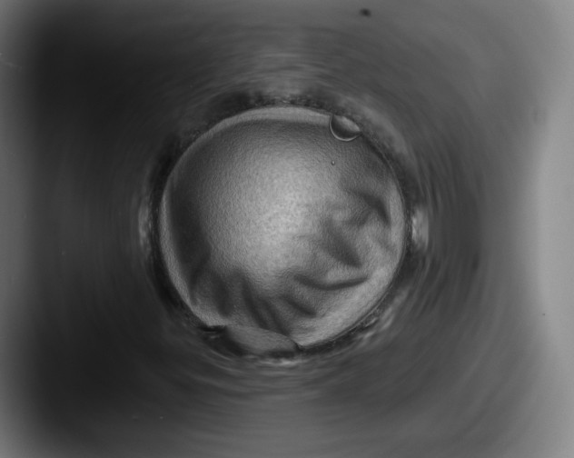 X0000087591299200705181212