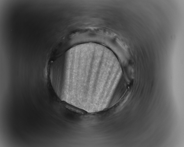 X0000087591300200705181212