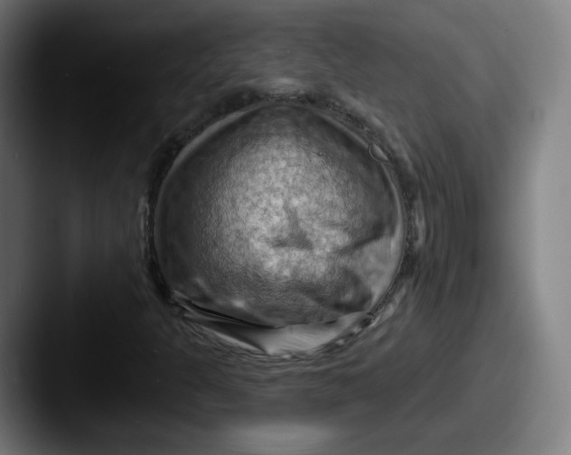 X0000087591301200705181212