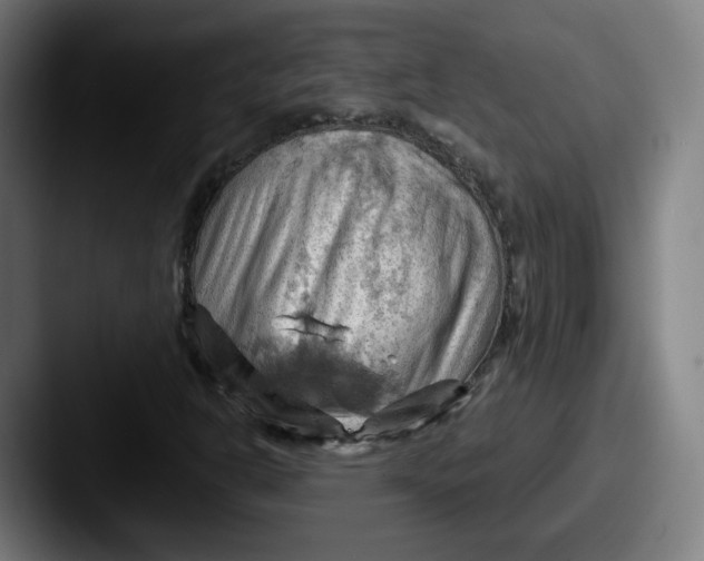 X0000087591302200705181212