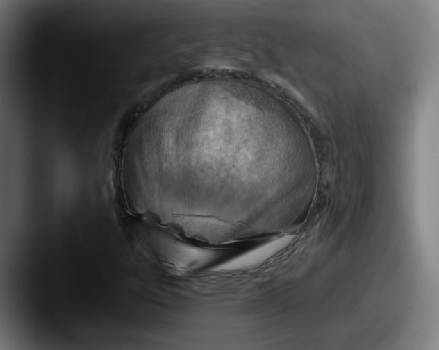 X0000087591303200705181212