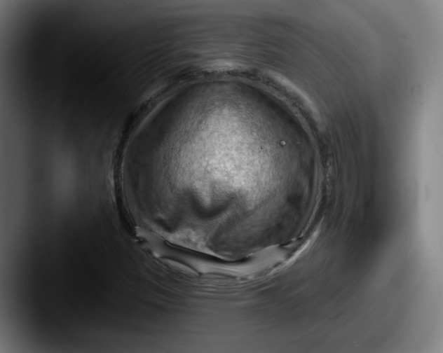 X0000087591305200705181212