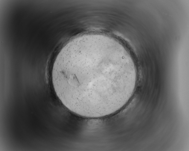 X0000087591306200705181212