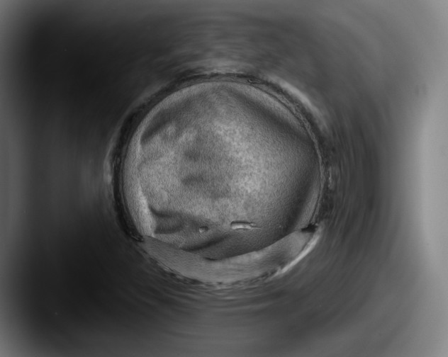 X0000087591309200705181212