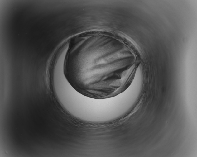 X0000087591310200705181212