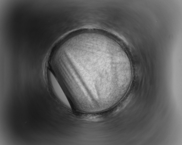 X0000087591311200705181212