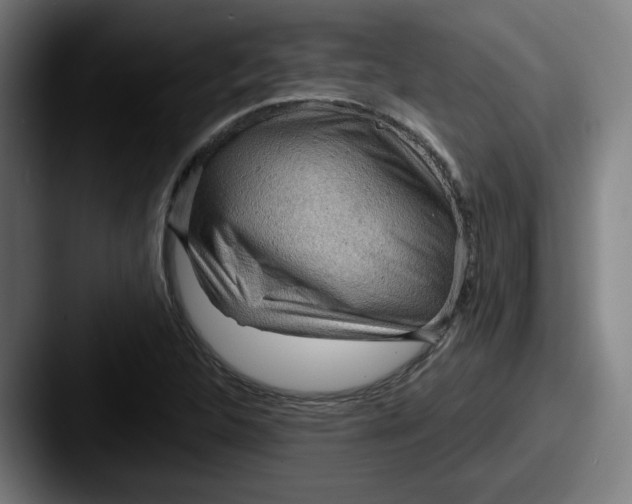 X0000087591312200705181212