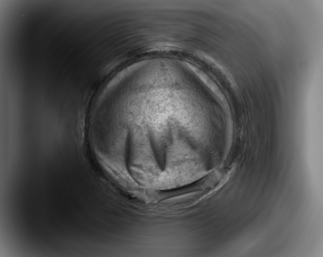 X0000087591313200705181212