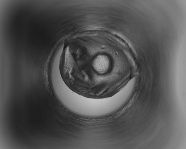 X0000087591314200705181212