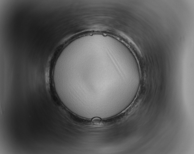 X0000087591315200705181212