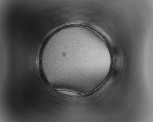 X0000087591316200705181212