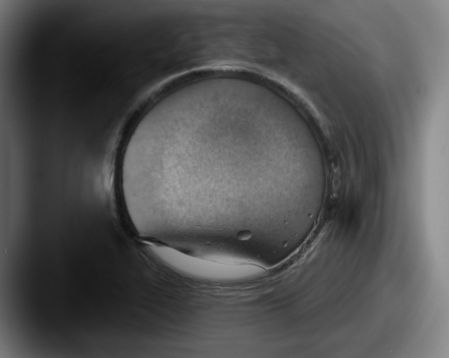 X0000087591319200705181212