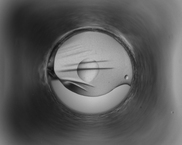 X0000087591320200705181212