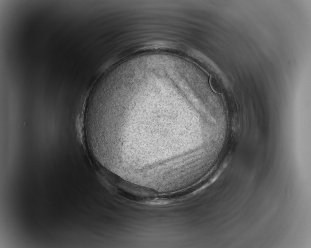 X0000087591321200705181212