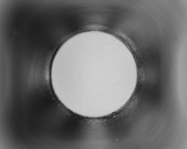 X0000087591322200705181212