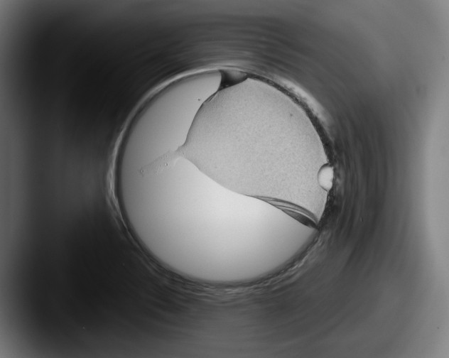 X0000087591324200705181212