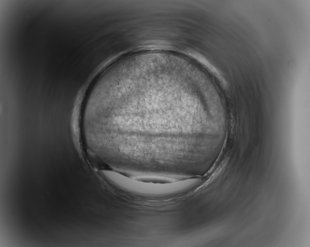 X0000087591325200705181212