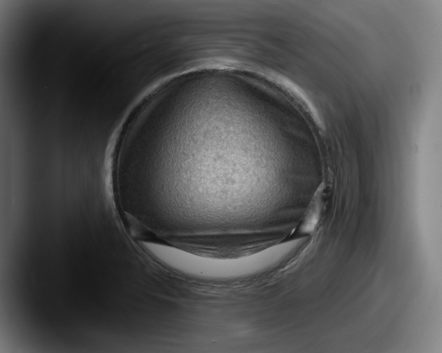 X0000087591326200705181212