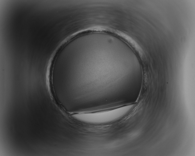 X0000087591327200705181212