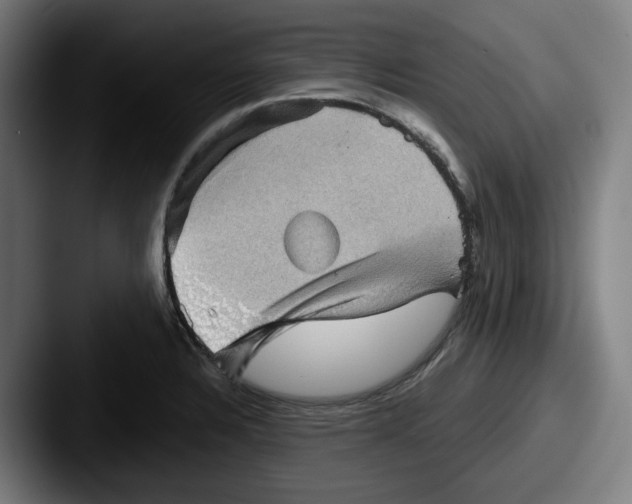 X0000087591328200705181212