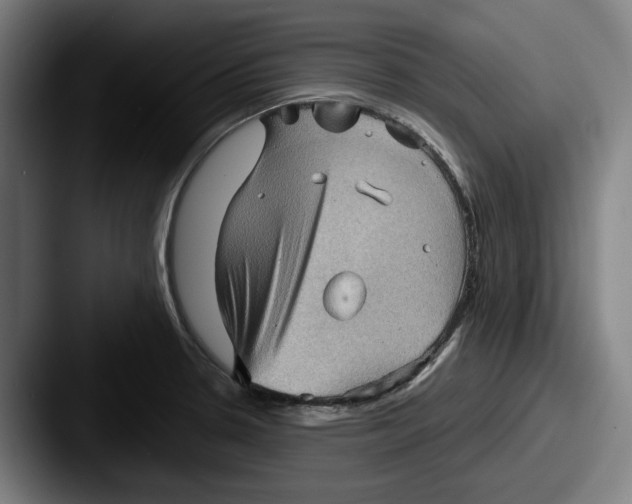 X0000087591330200705181212