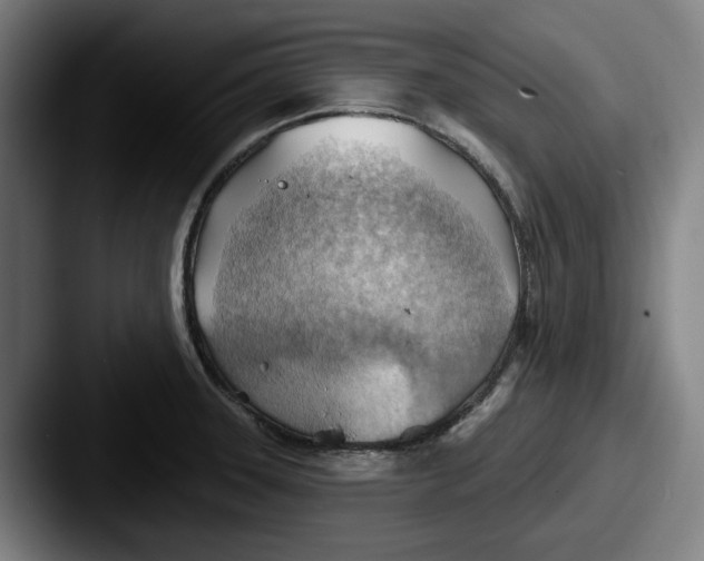 X0000087591331200705181212