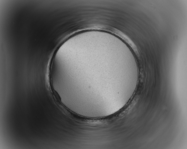 X0000087591332200705181212