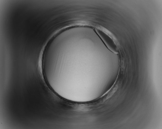 X0000087591334200705181212