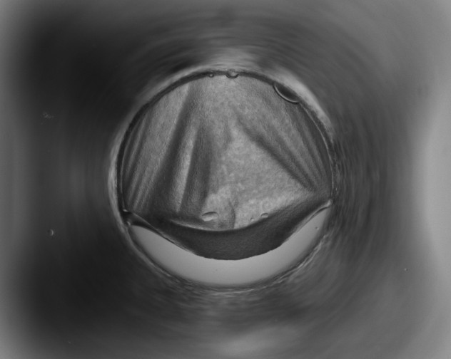 X0000087591335200705181212