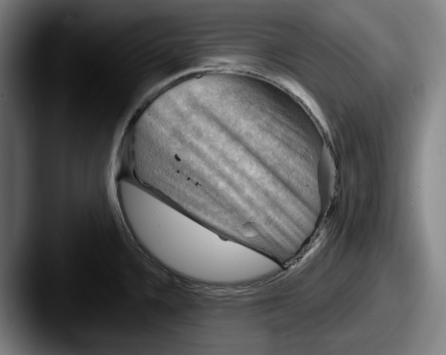 X0000087591336200705181212