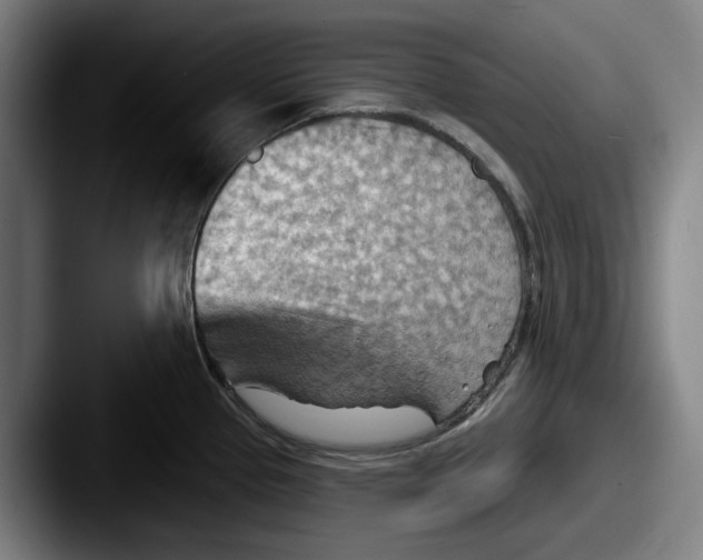 X0000087591337200705181212