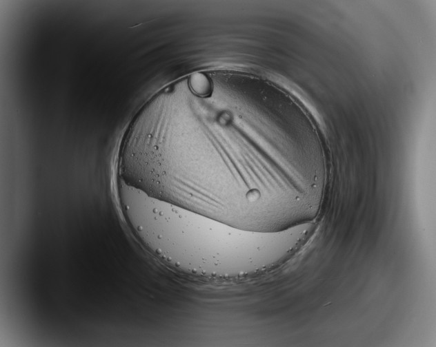 X0000087591338200705181212