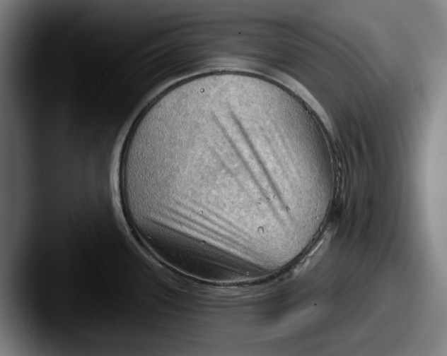 X0000087591339200705181212