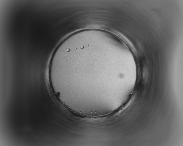 X0000087591340200705181212