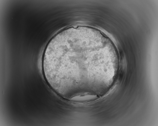 X0000087591341200705181212