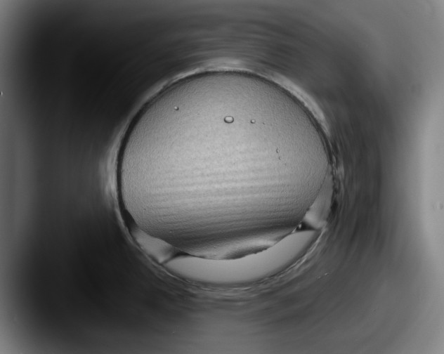 X0000087591342200705181212