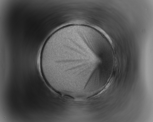 X0000087591343200705181212