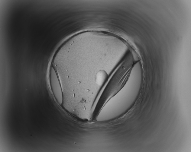 X0000087591344200705181212