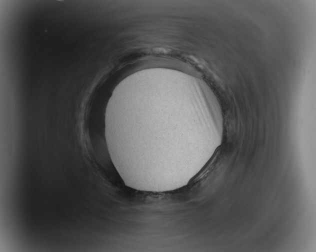 X0000087591345200705181212