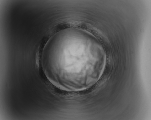 X0000087591346200705181212