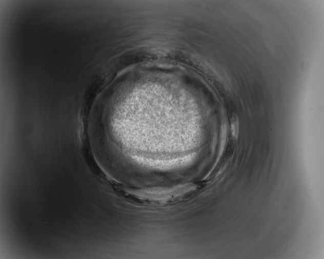 X0000087591347200705181212