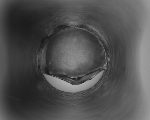 X0000087591348200705181211